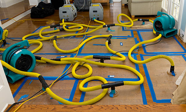 Professional Basement Flood Cleanup technician working in Seabrook, TX